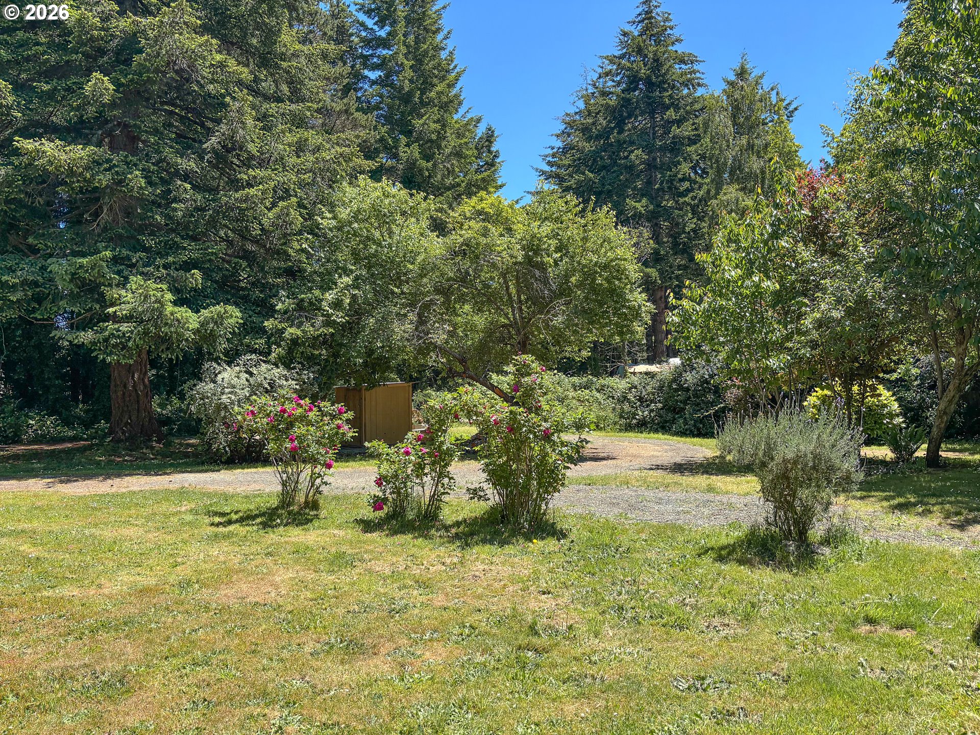 55955 Spring Creek Rd, Bandon, OR 97411 — photo 3
