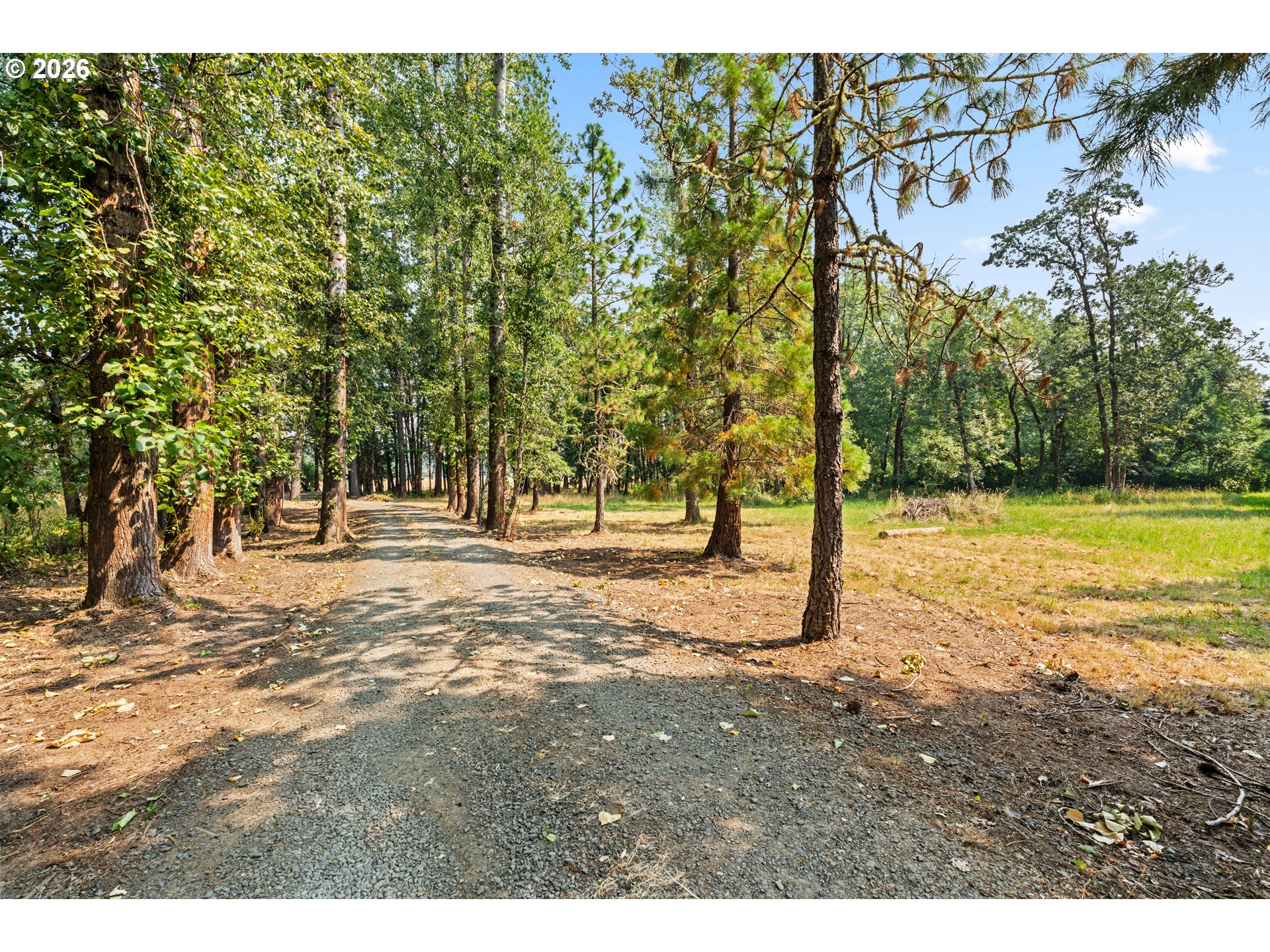 26266 Cory Rd, JunctionCity, OR 97448 — photo 3