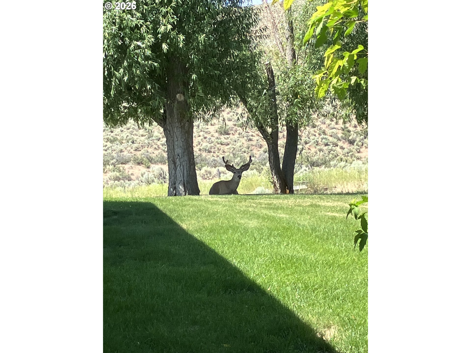 68883 Loop Dr, Hines, OR 97738 — photo 3