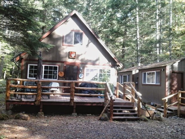 Cabin 100 Northwoods — photo