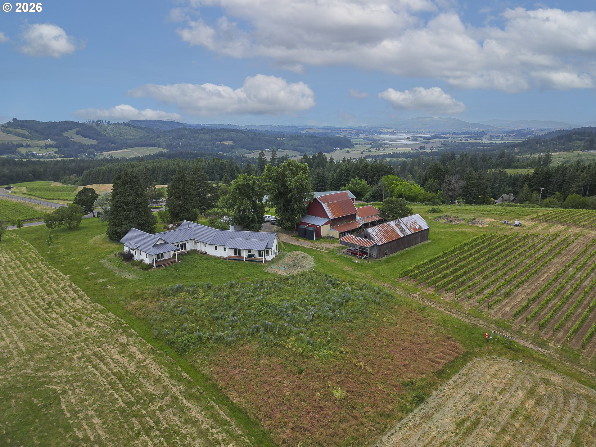 21080 NE Ribbon Ridge Rd, Newberg, OR 97132 — photo 2