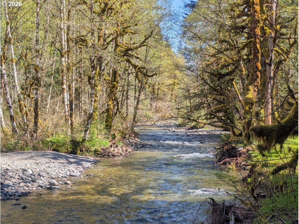 30460 E RD 12 Lot 133, Rhododendron, OR 97049 — photo 3