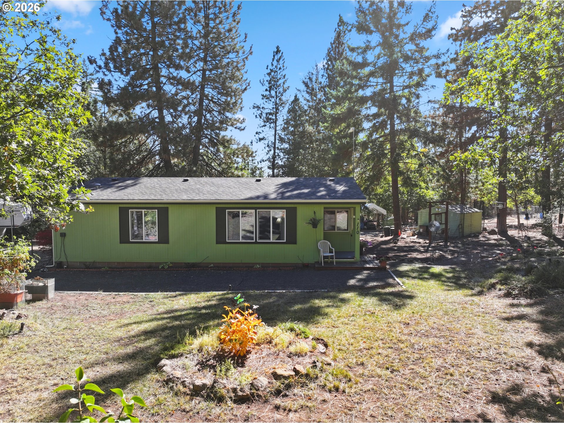 110 Goldenpine — photo