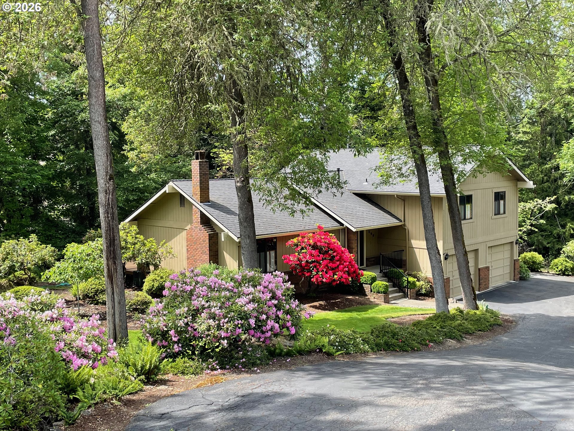 299 Wild Fern Dr — photo