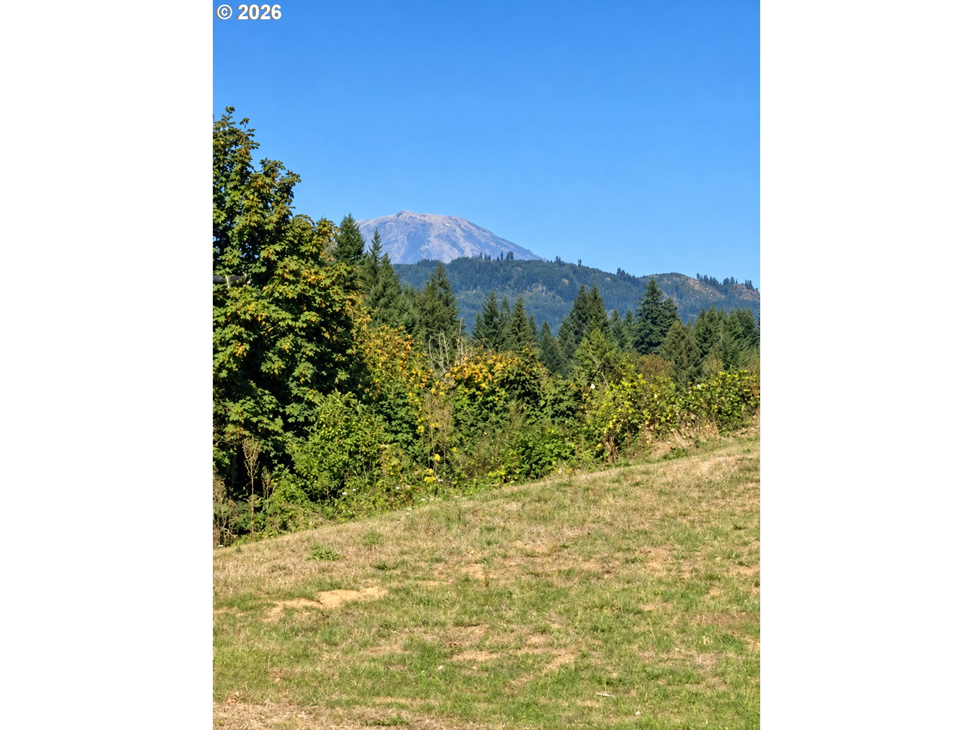 18209 NE Peg Rd, Yacolt, WA 98675 — photo 3