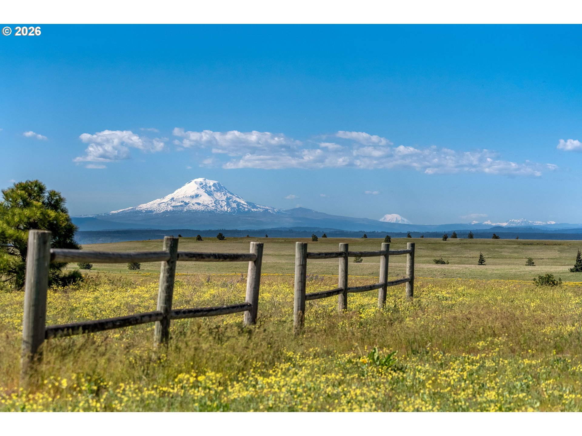 1125 High Prairie Rd, Lyle, WA 98635 — photo 2