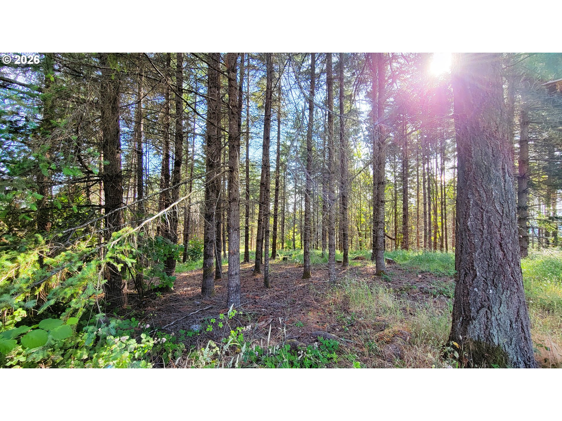 86820 Northill Ranch Rd, Eugene, OR 97402 — photo 3