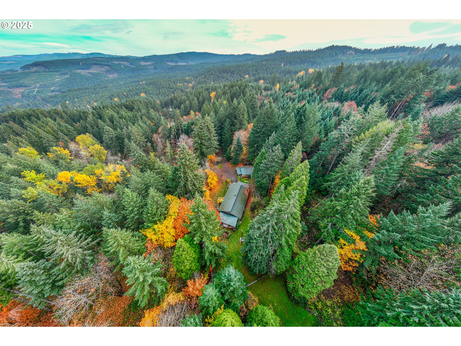 87250 Cedar Flat Rd, Springfield, OR 97478 — photo 3
