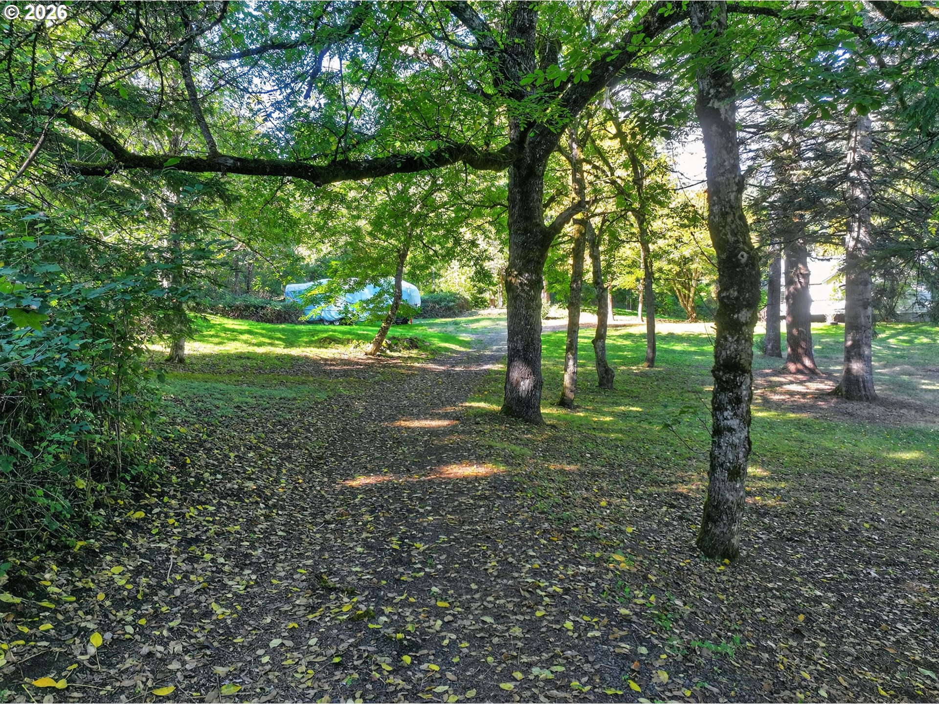 231 Butler Loop Rd, Stevenson, WA 98648 — photo 2