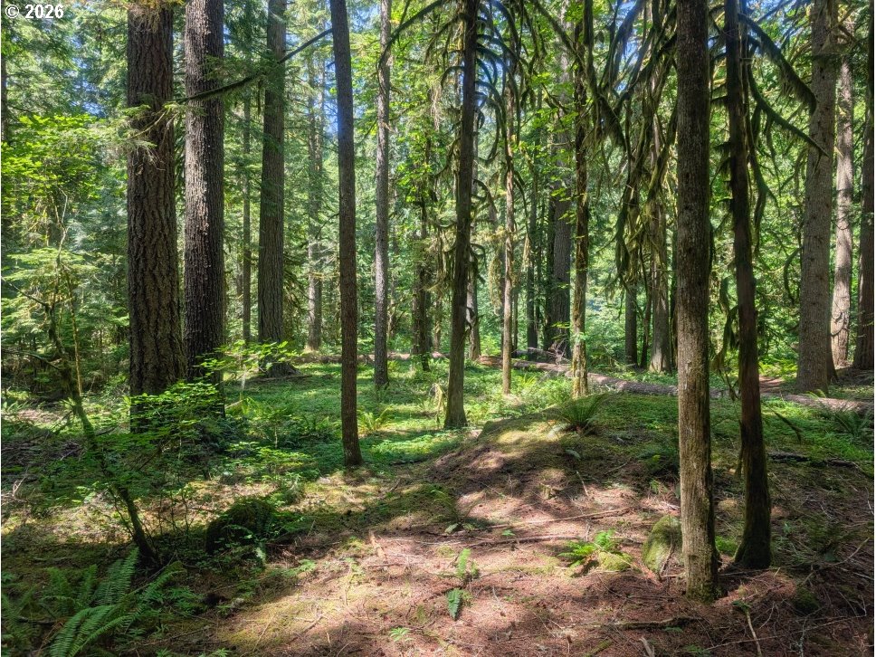 78549 E RD 35 Lot 115, Rhododendron, OR 97049 — photo 3