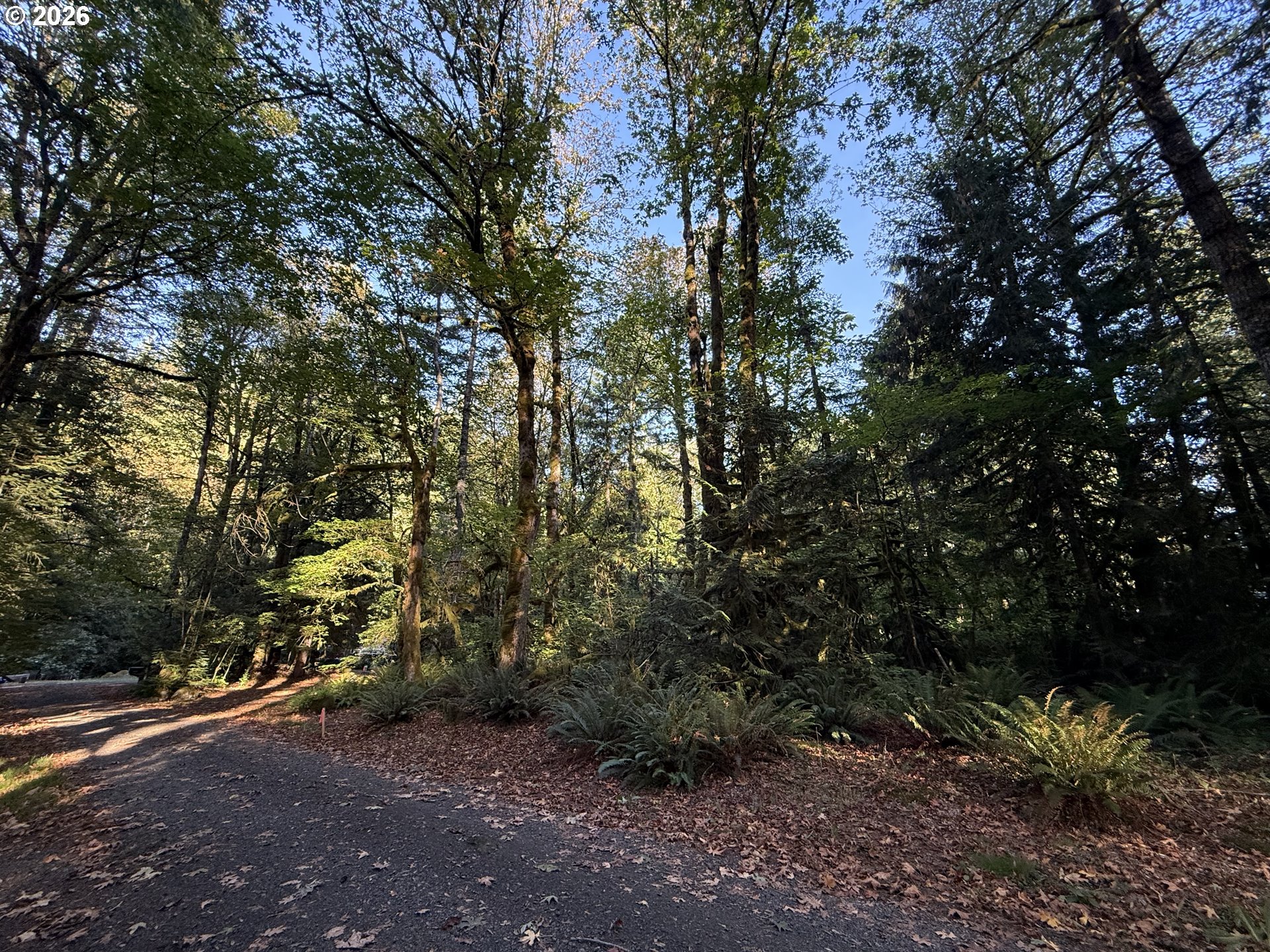 65365 E Barlow Trail Rd, Rhododendron, OR 97049 — photo 3
