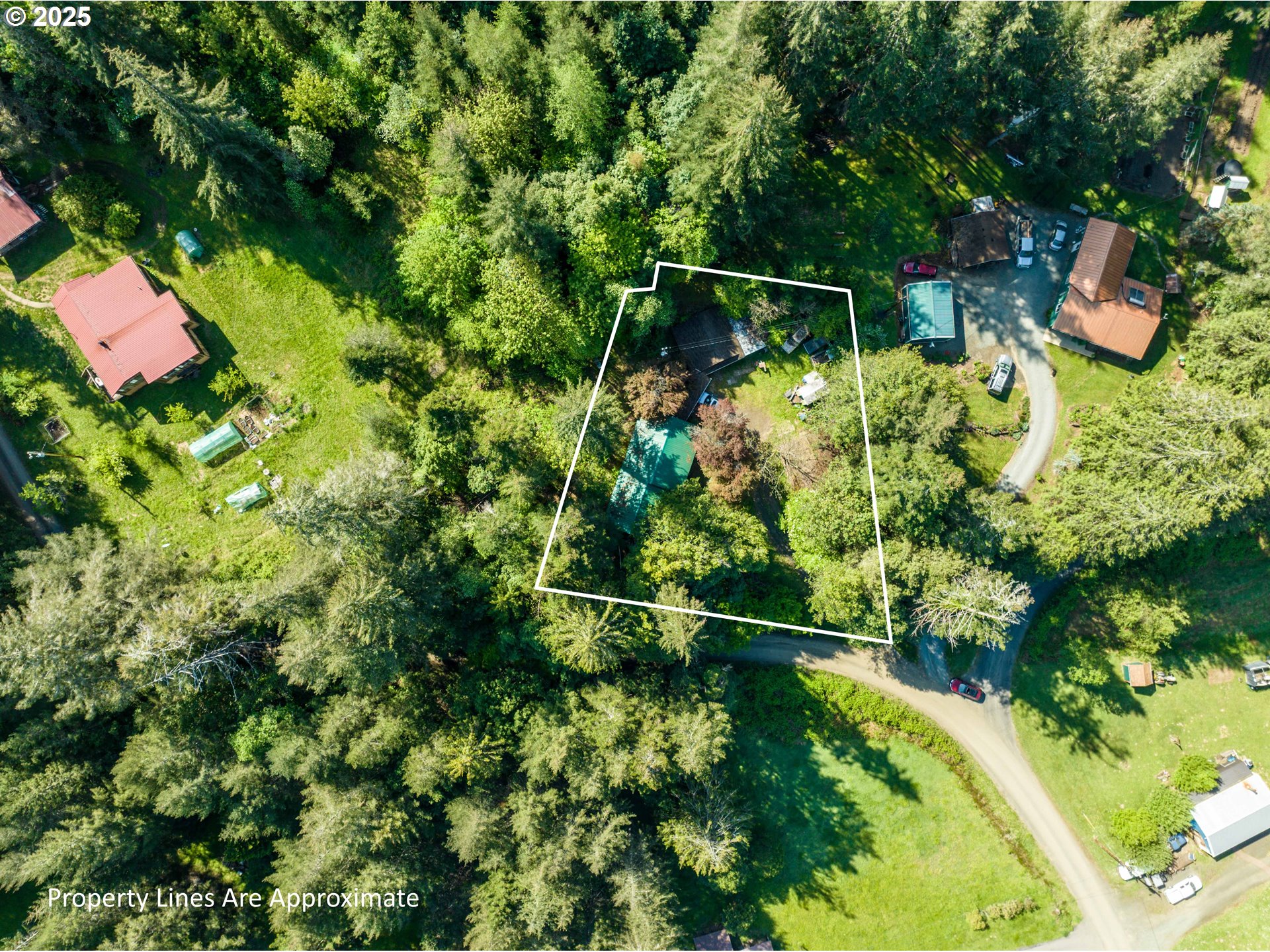 56010 Goldbrick Rd, MyrtlePoint, OR 97458 — photo 2