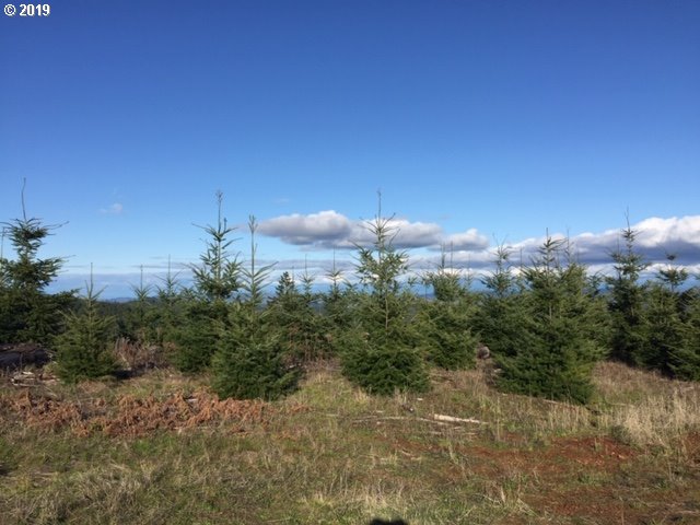 Oakdale Rd, Dallas, OR 97338 — photo 2