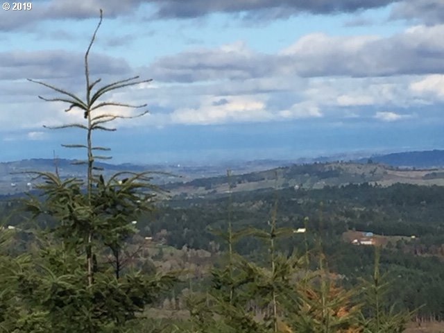 Oakdale Rd, Dallas, OR 97338 — photo 3