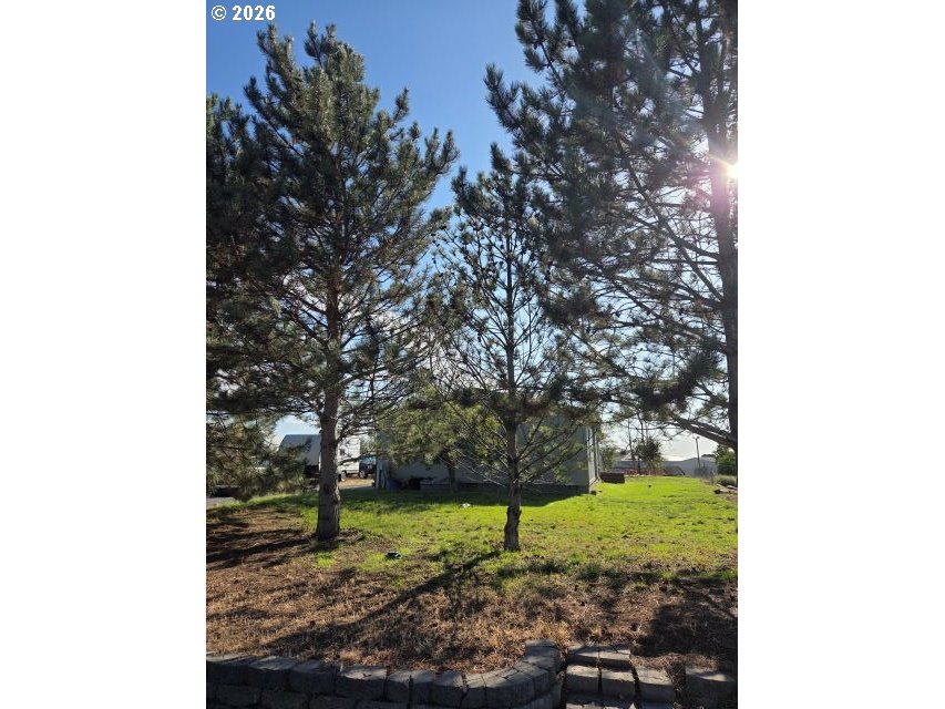 225 NE Marshall Loop, Boardman, OR 97818 — photo 2
