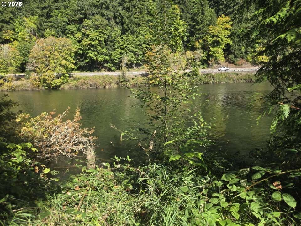 10195 Sweet Creek Rd, Mapleton, OR 97453 — photo 2