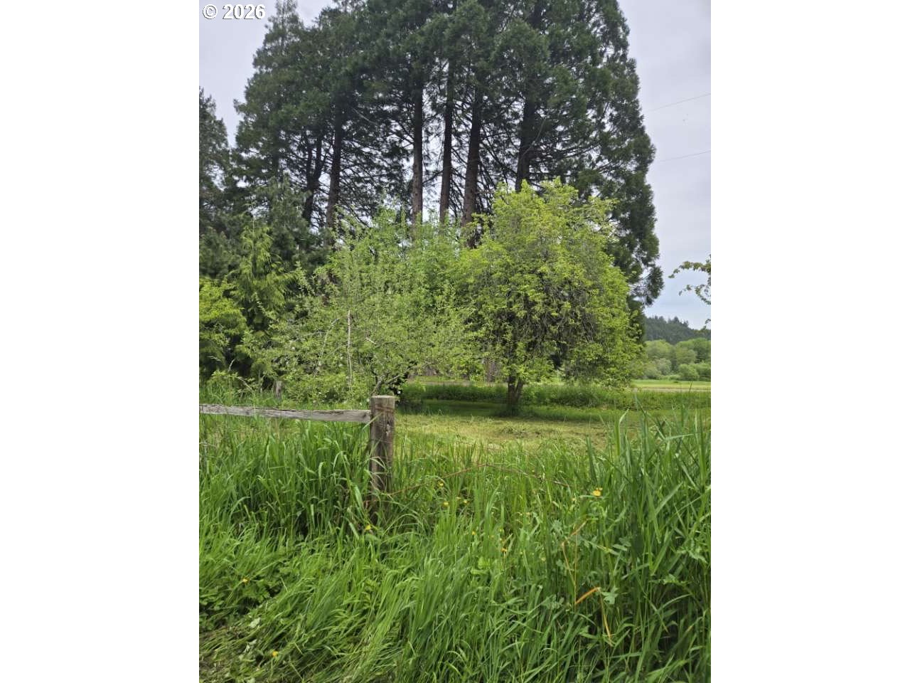 10195 Sweet Creek Rd, Mapleton, OR 97453 — photo 3