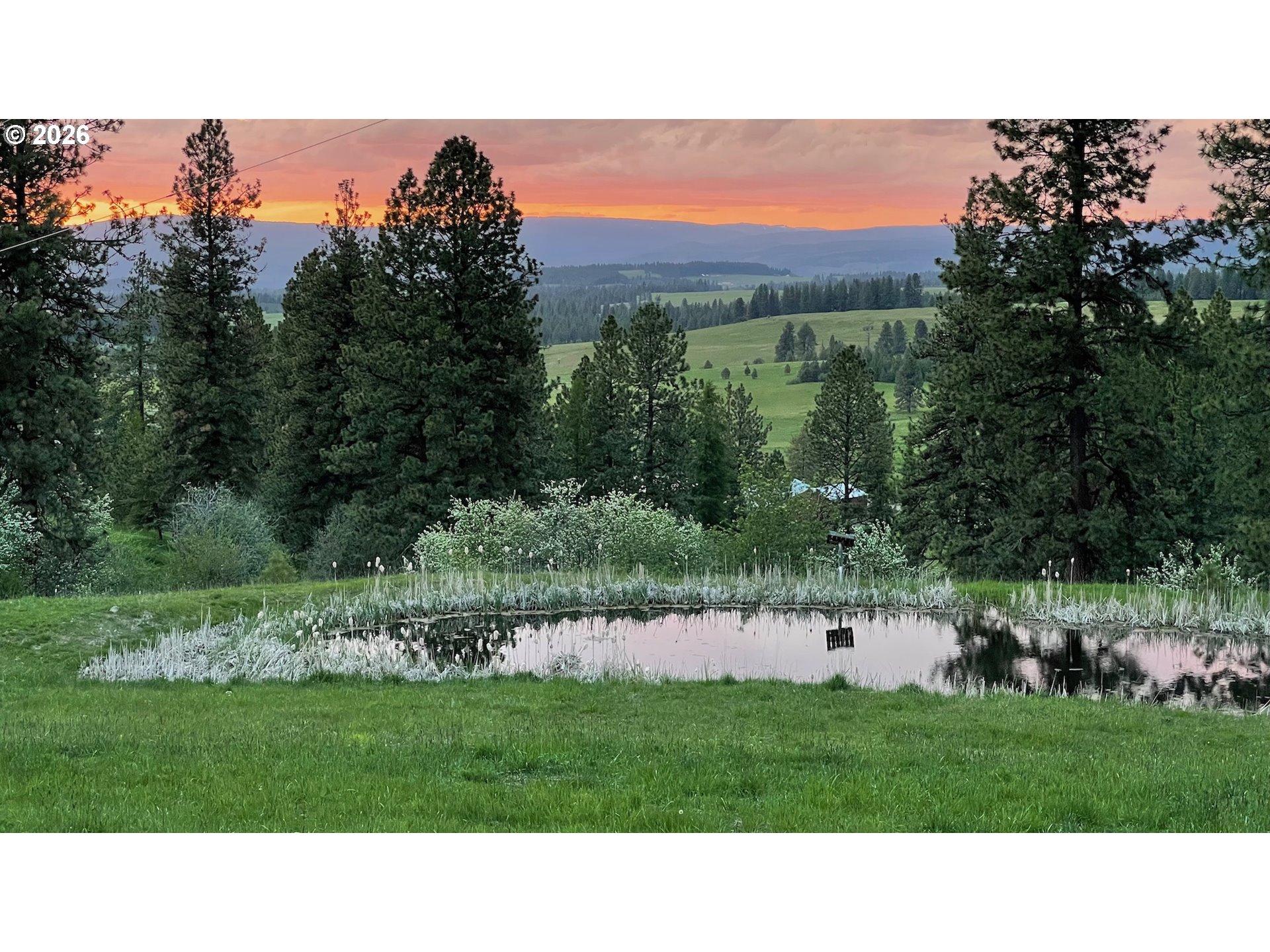 70677 Follett Rd, Elgin, OR 97827 — photo 3