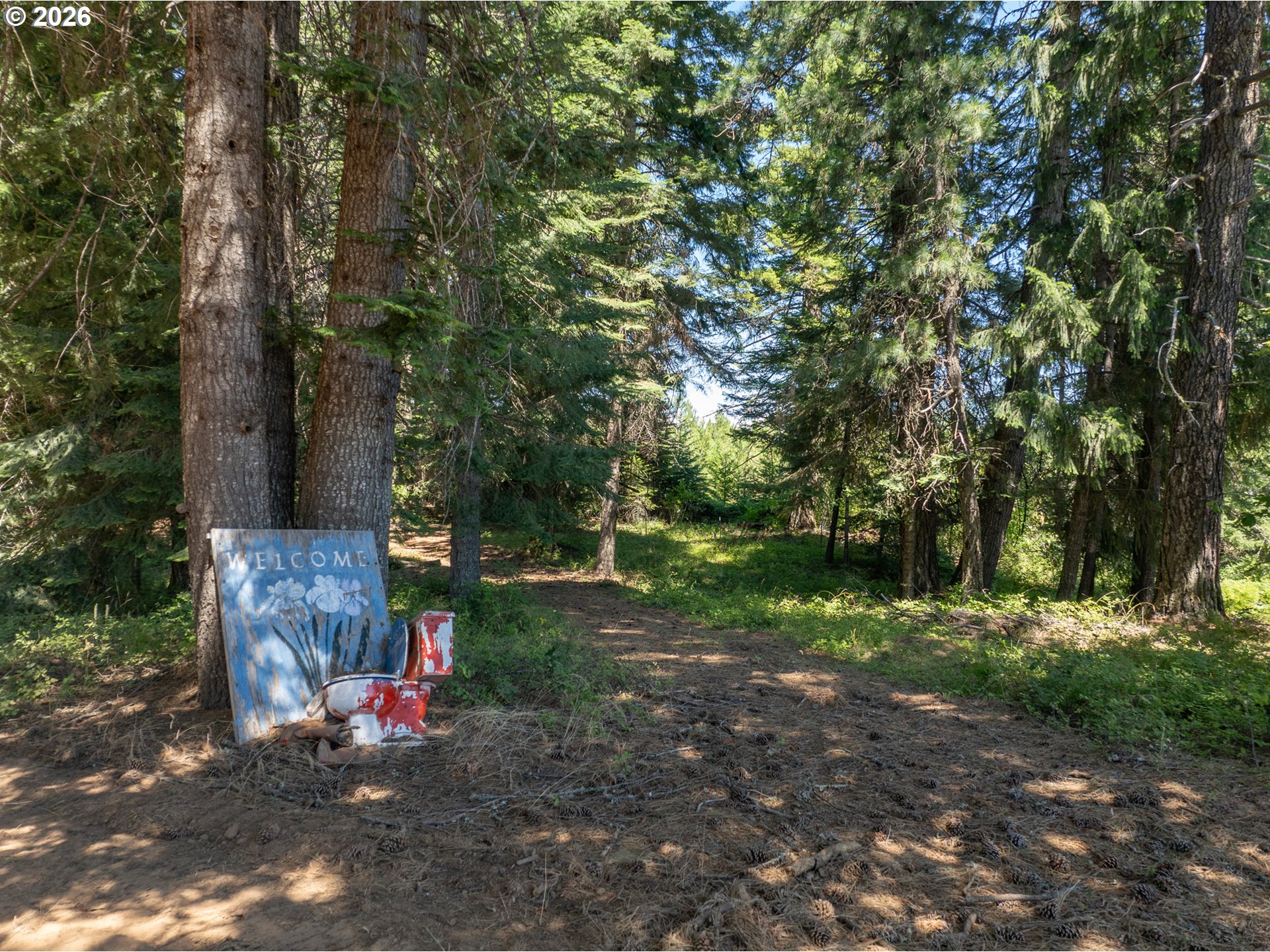 1251 Canyon Rd, Appleton, WA 98602