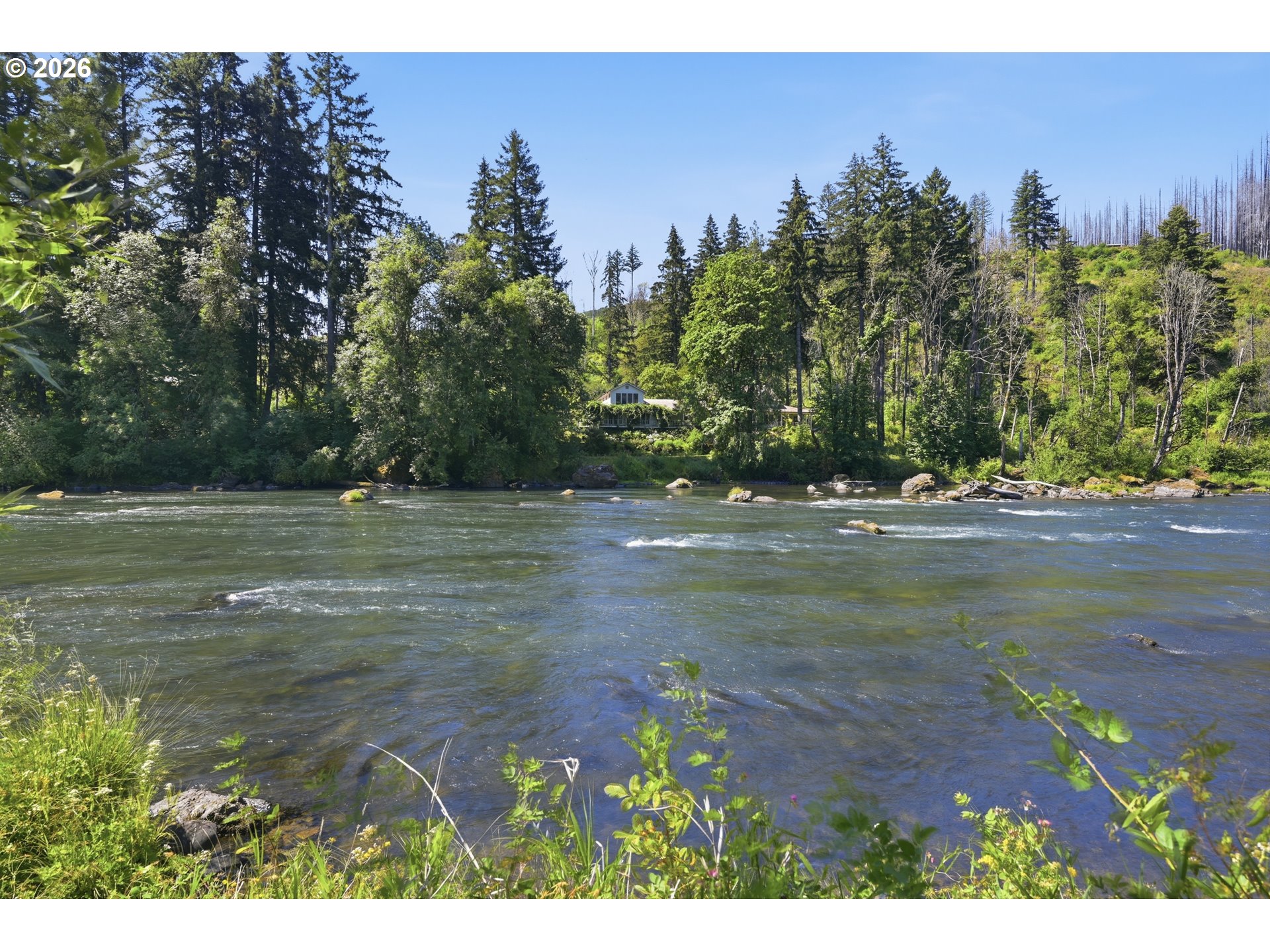90357 Thomson Ln, Vida, OR 97488 — photo 2