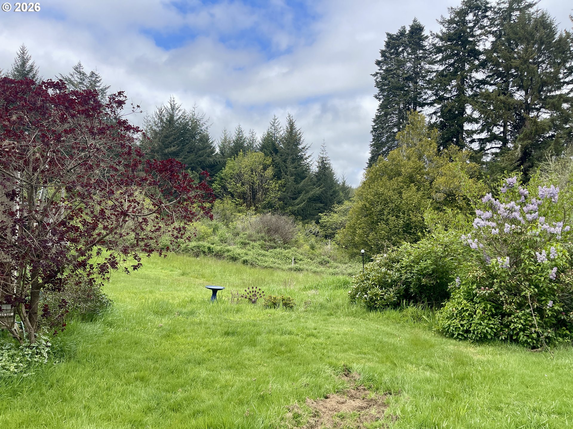 61772 Ross Inlet Rd, CoosBay, OR 97420 — photo 3