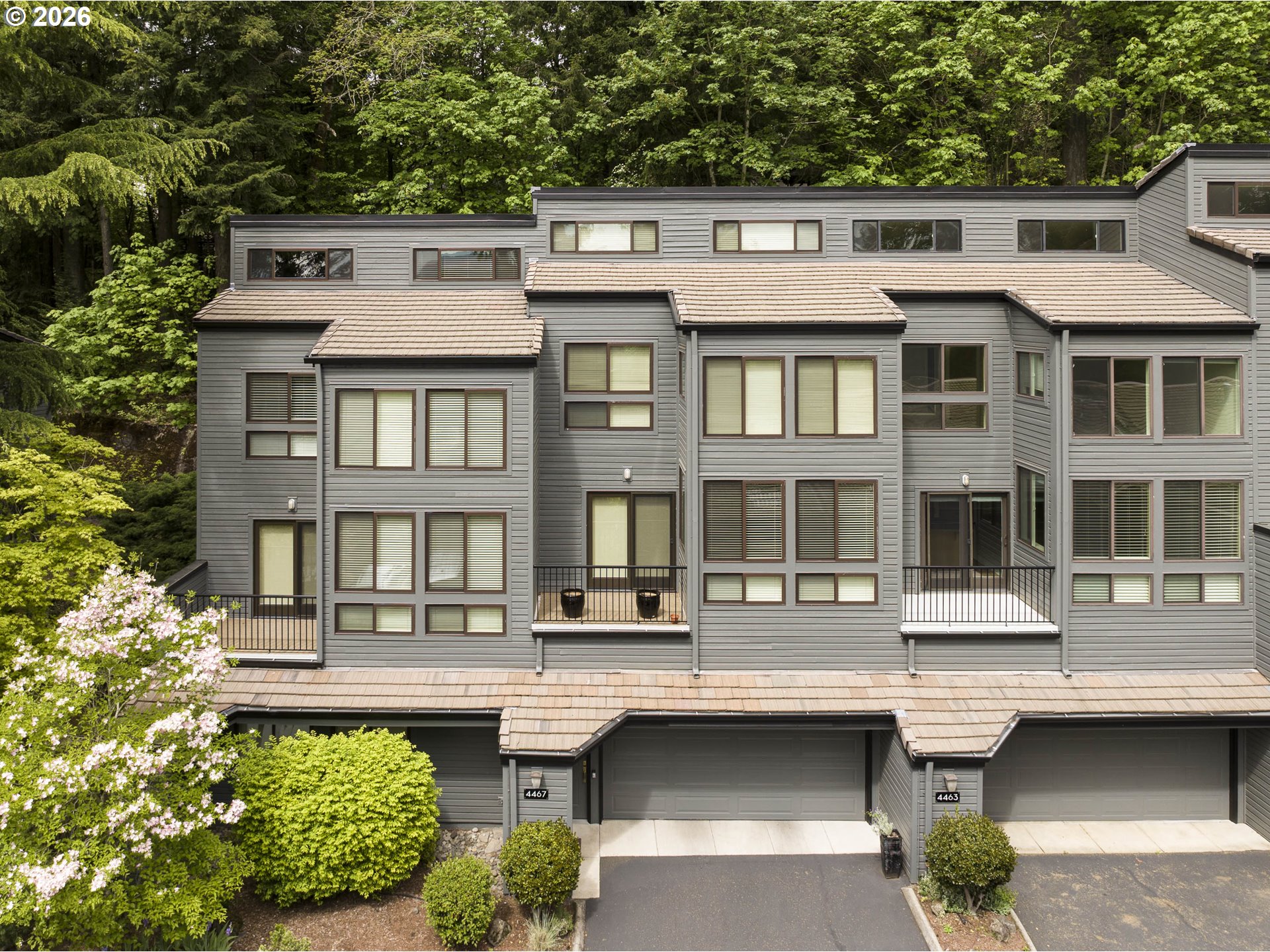 4467 Thunder Vista Ln — photo
