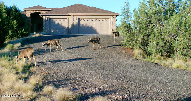 7051 Dillon Wash Road — photo