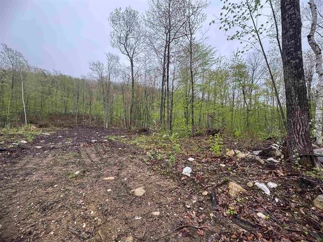 000 Upper Plains Road — photo