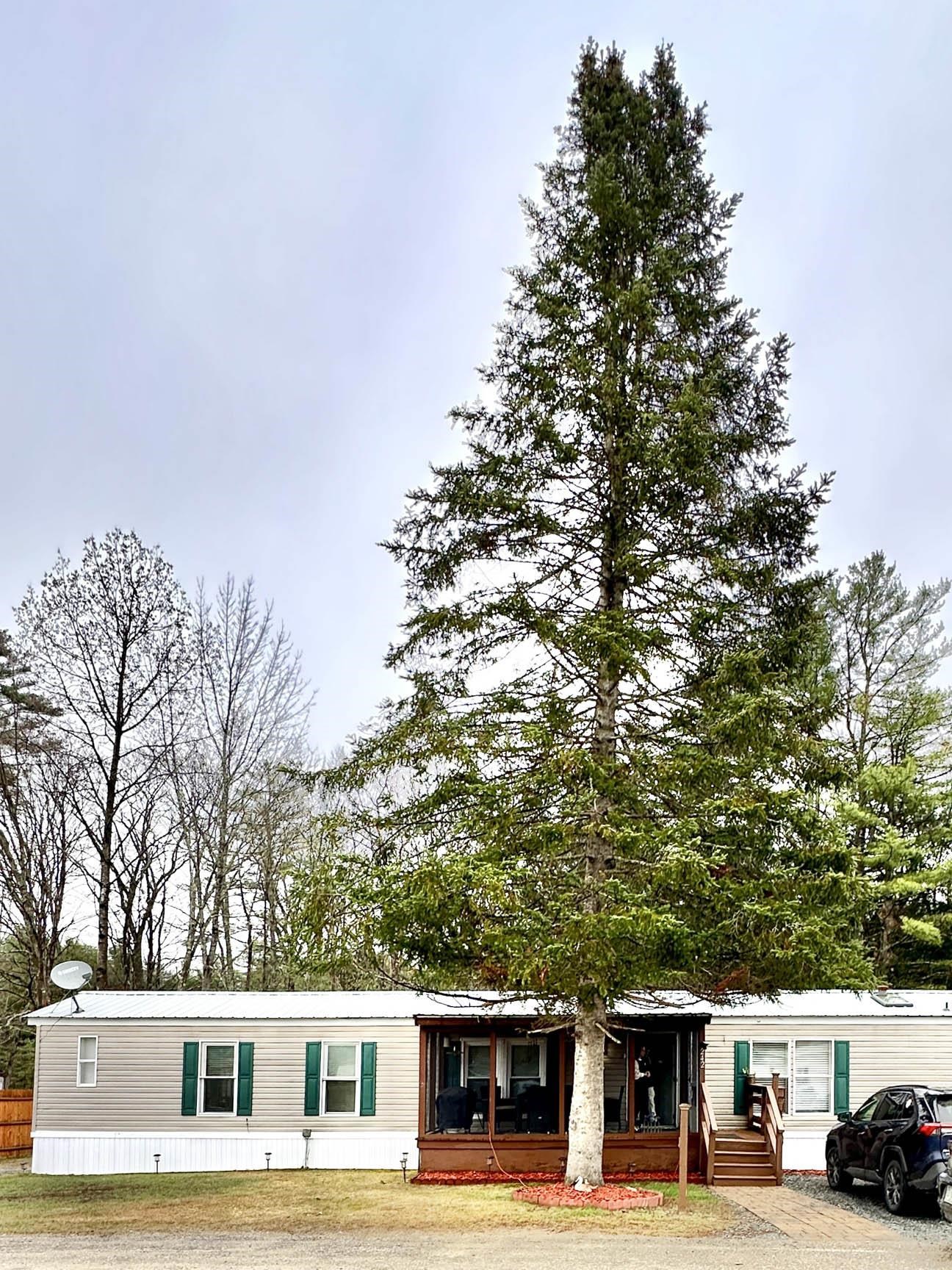 242 Riverside Drive, Campton, NH 03223 — photo 2