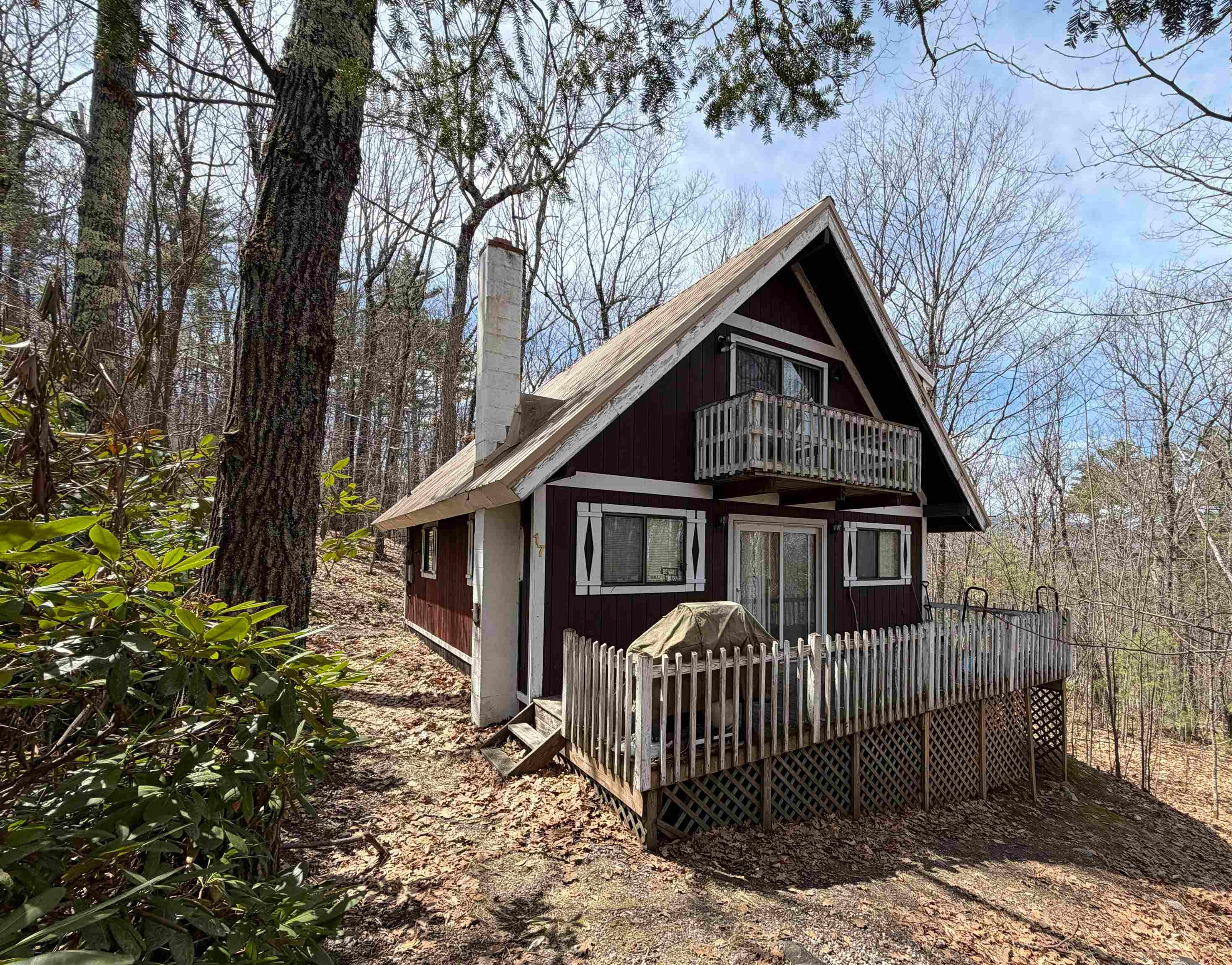 17 Klausen Road — photo