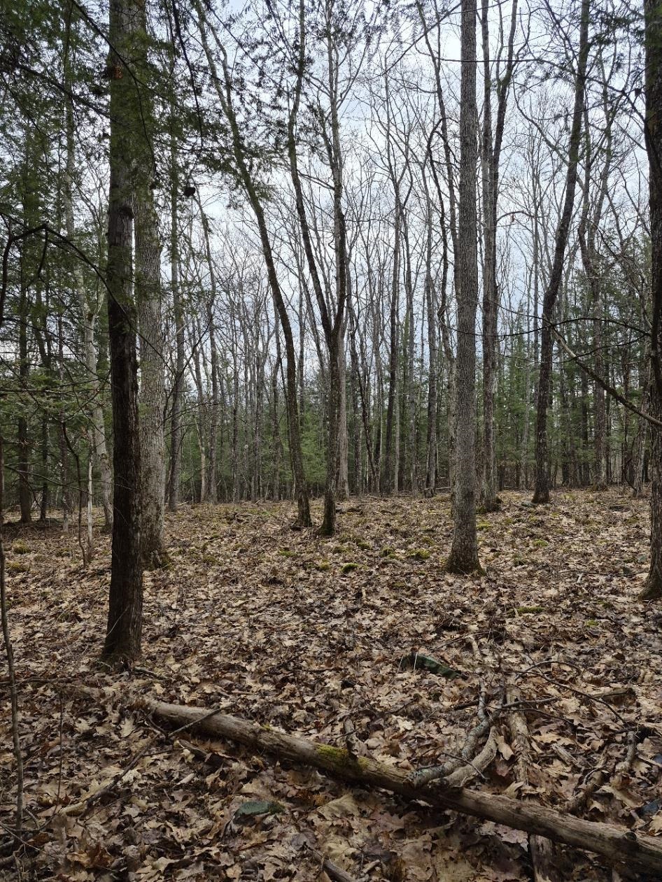 Crotty Drive, Rockingham, VT 05301 — photo 2