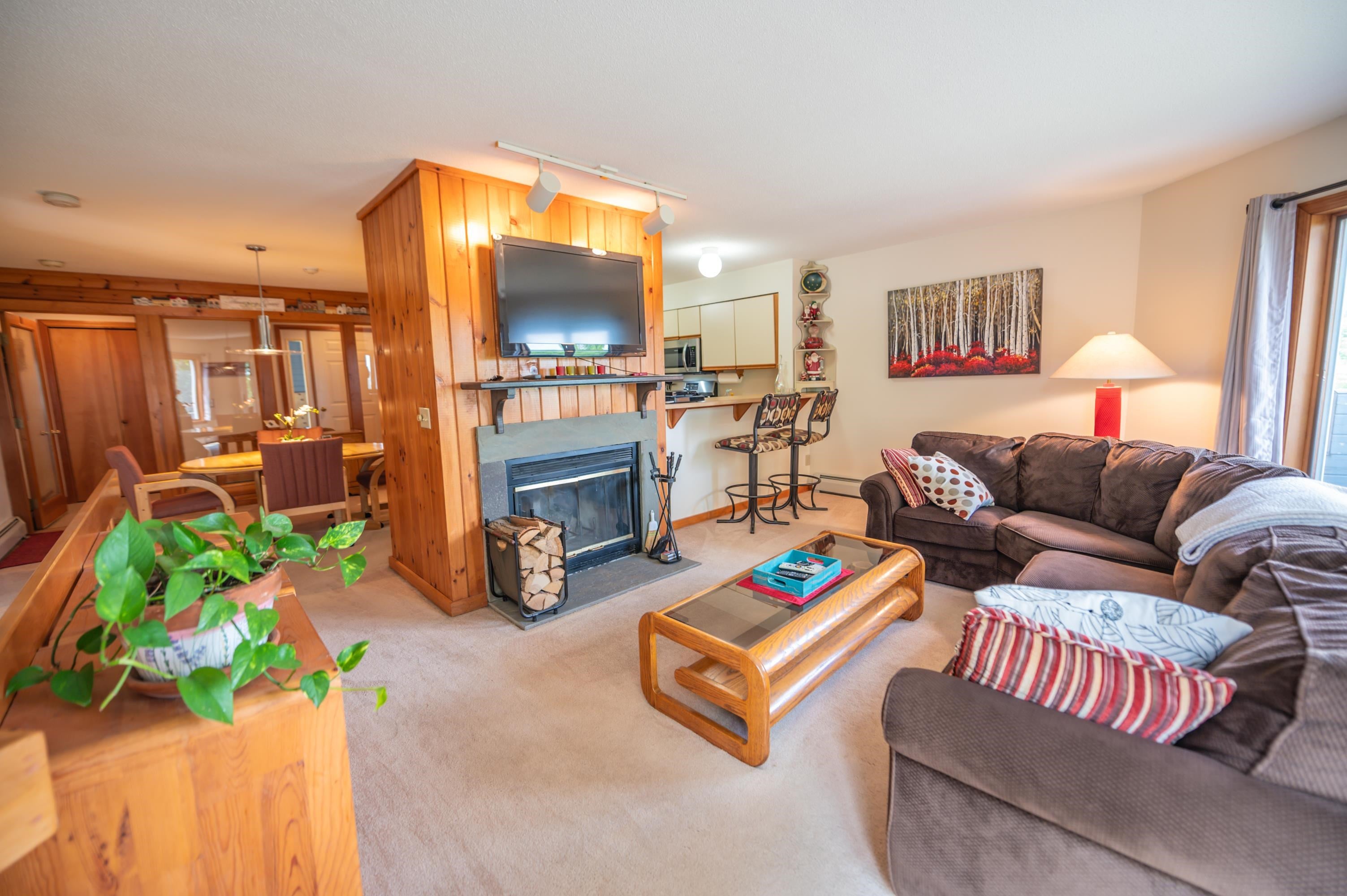 15 Haymaker Lane 6D — photo