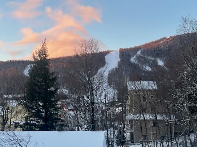 205 Mountainside Drive 35 — photo
