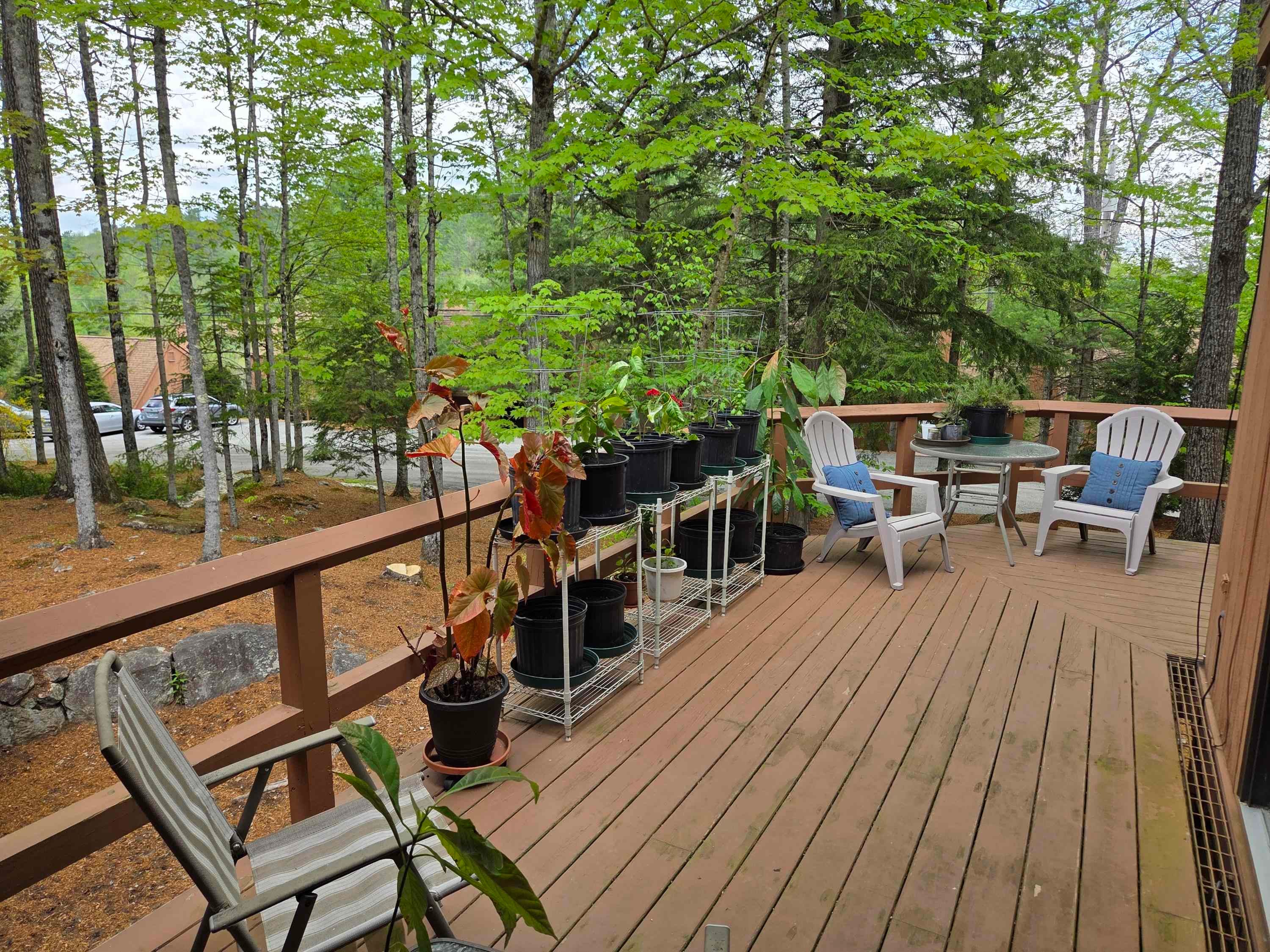 841 Cove Drive — photo