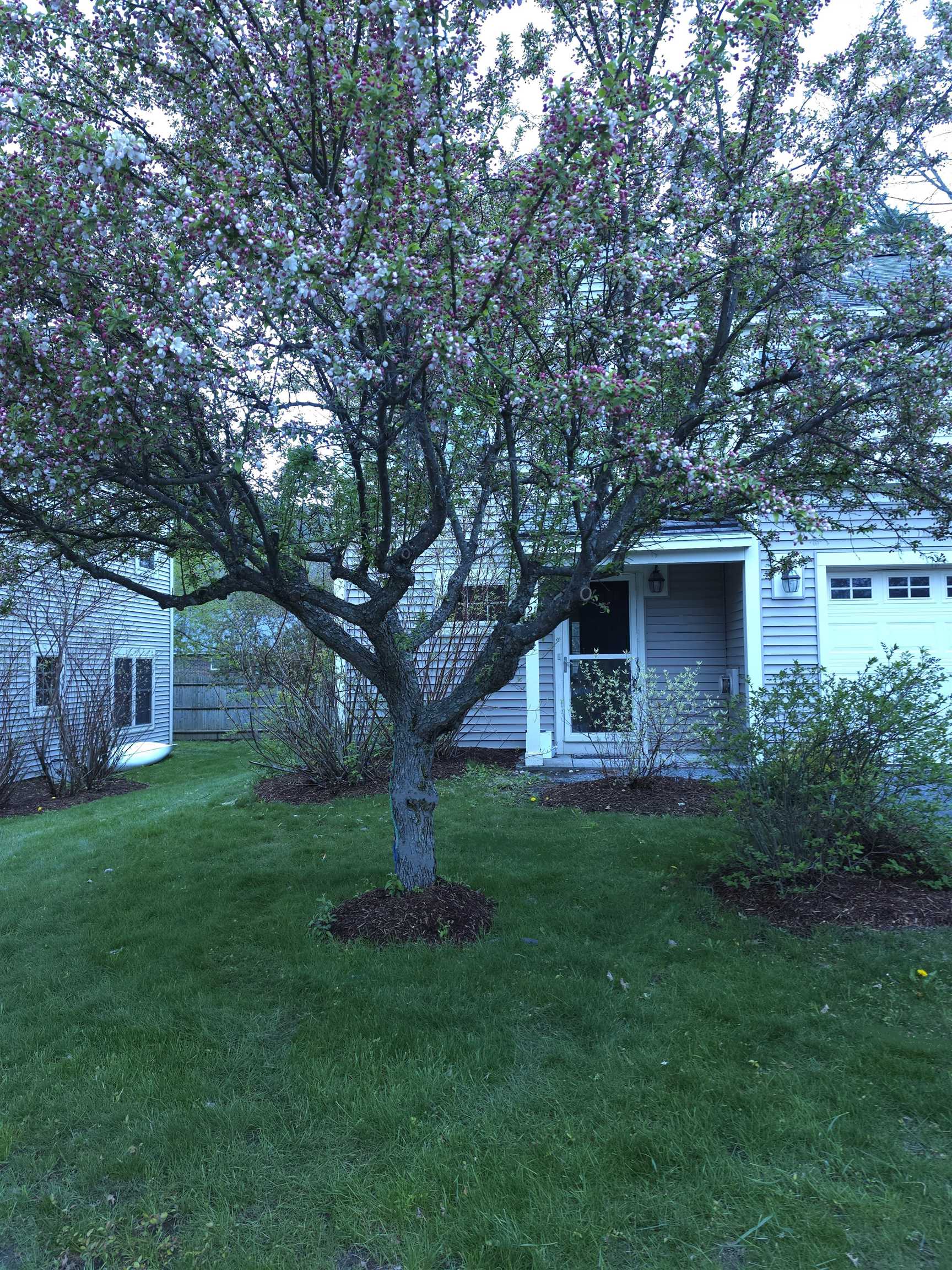 299 Mount Support Road 21 — photo