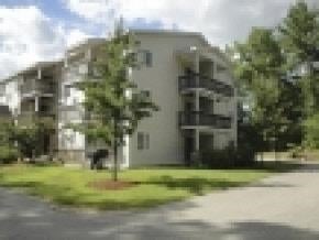 99 Mammoth Road 11 — photo
