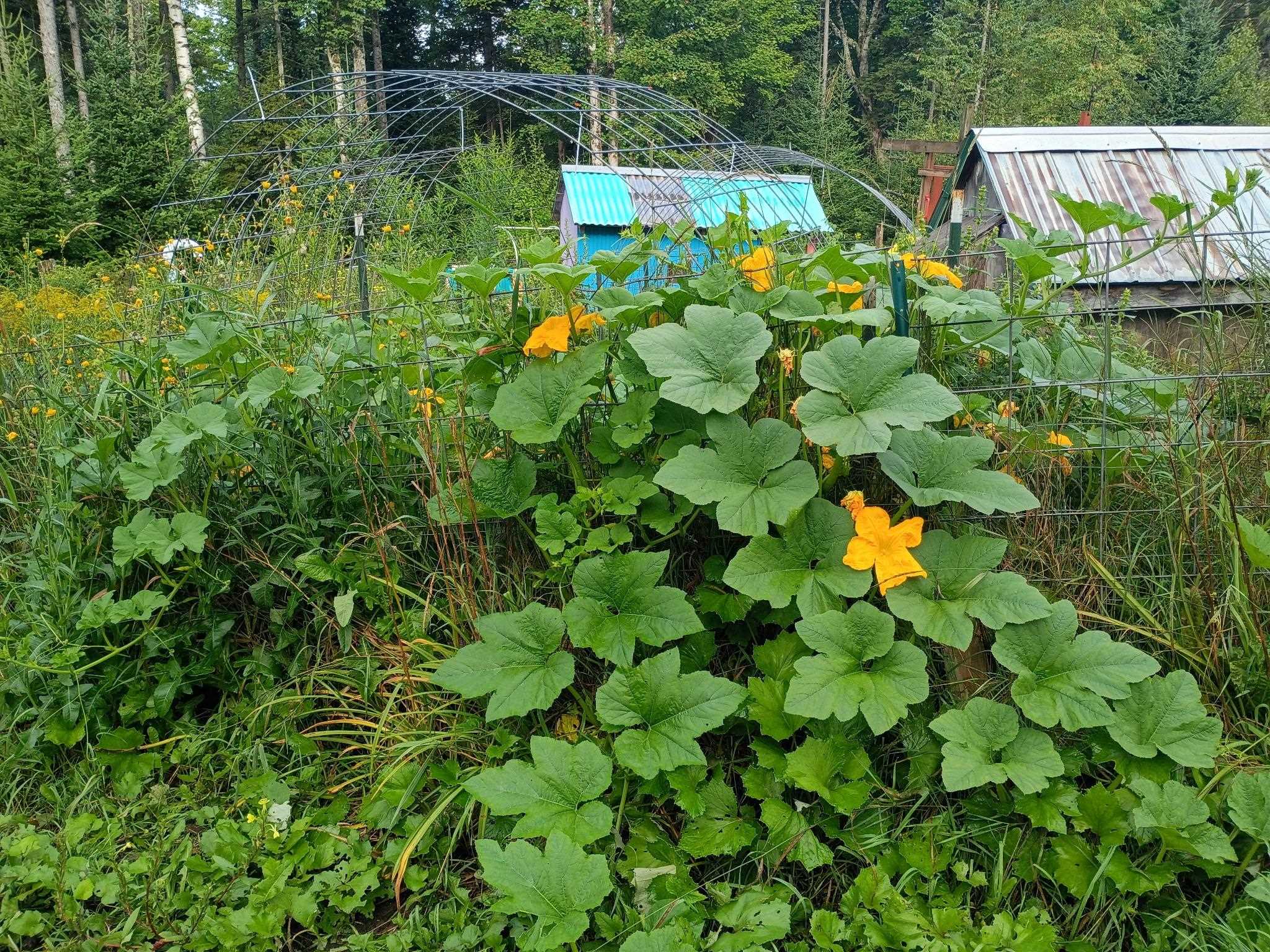 115 Smith Road, Orange, VT 05641 — photo 3