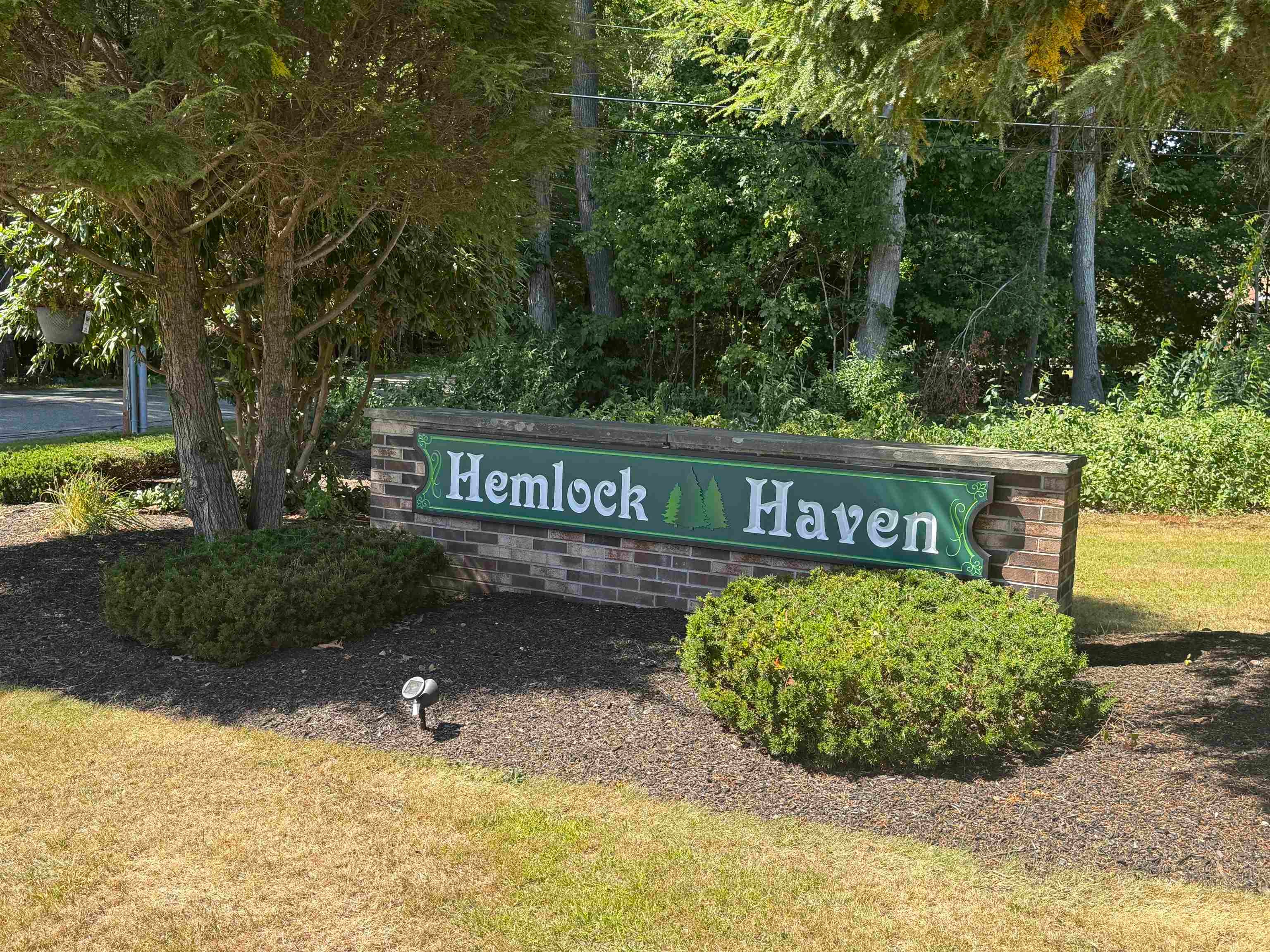 51 Hemlock Haven 51 — photo