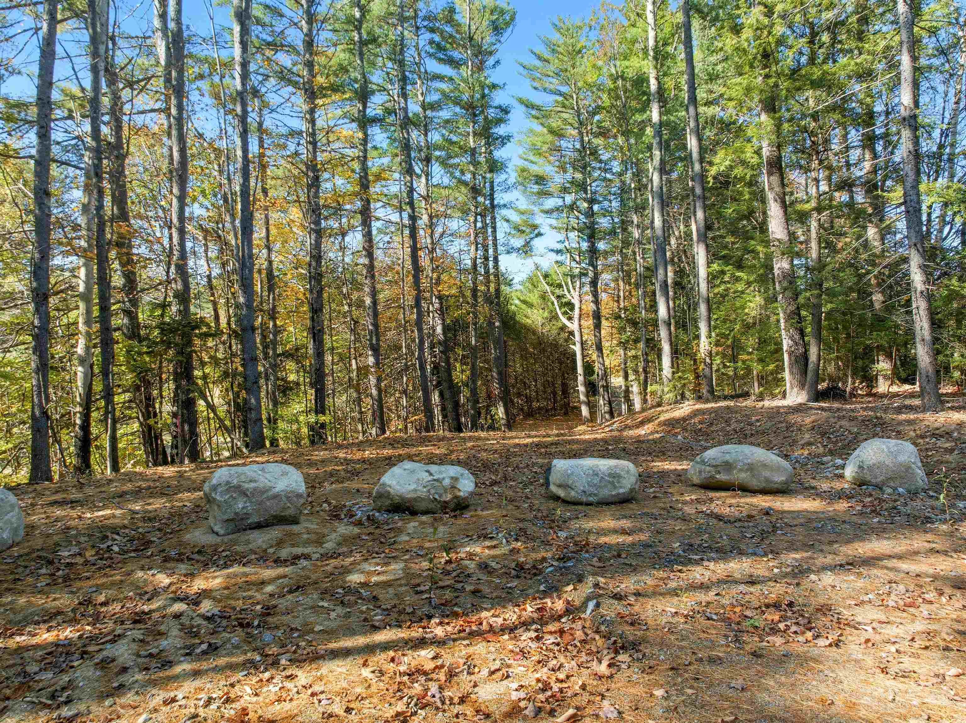 115 Adams Farm Road — photo