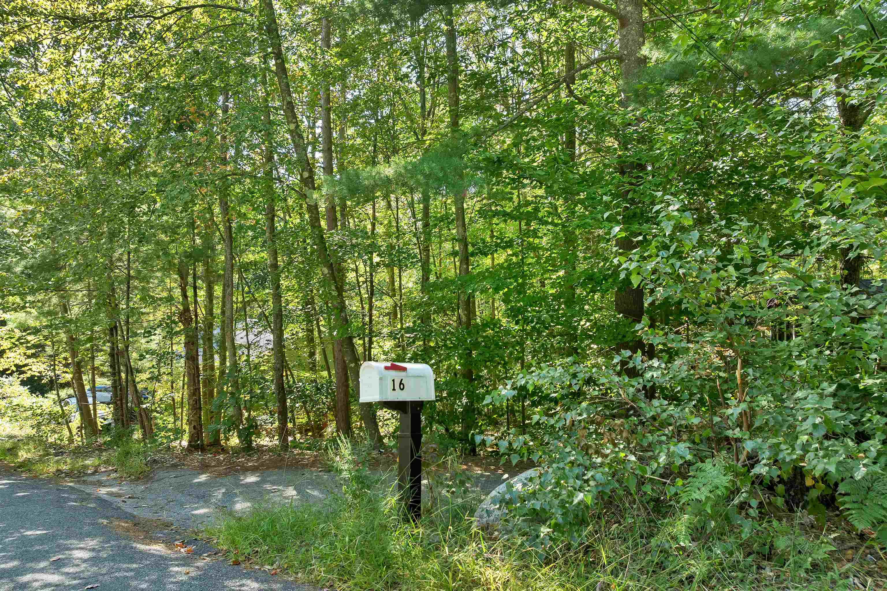 16 Forest Avenue — photo