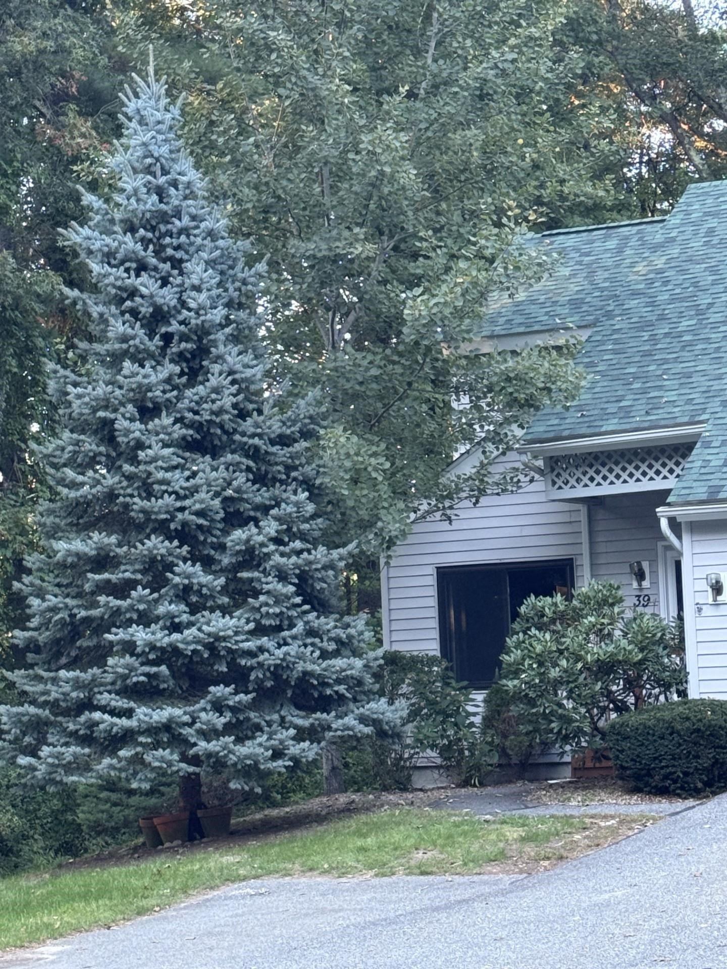 39 Aspen Drive — photo