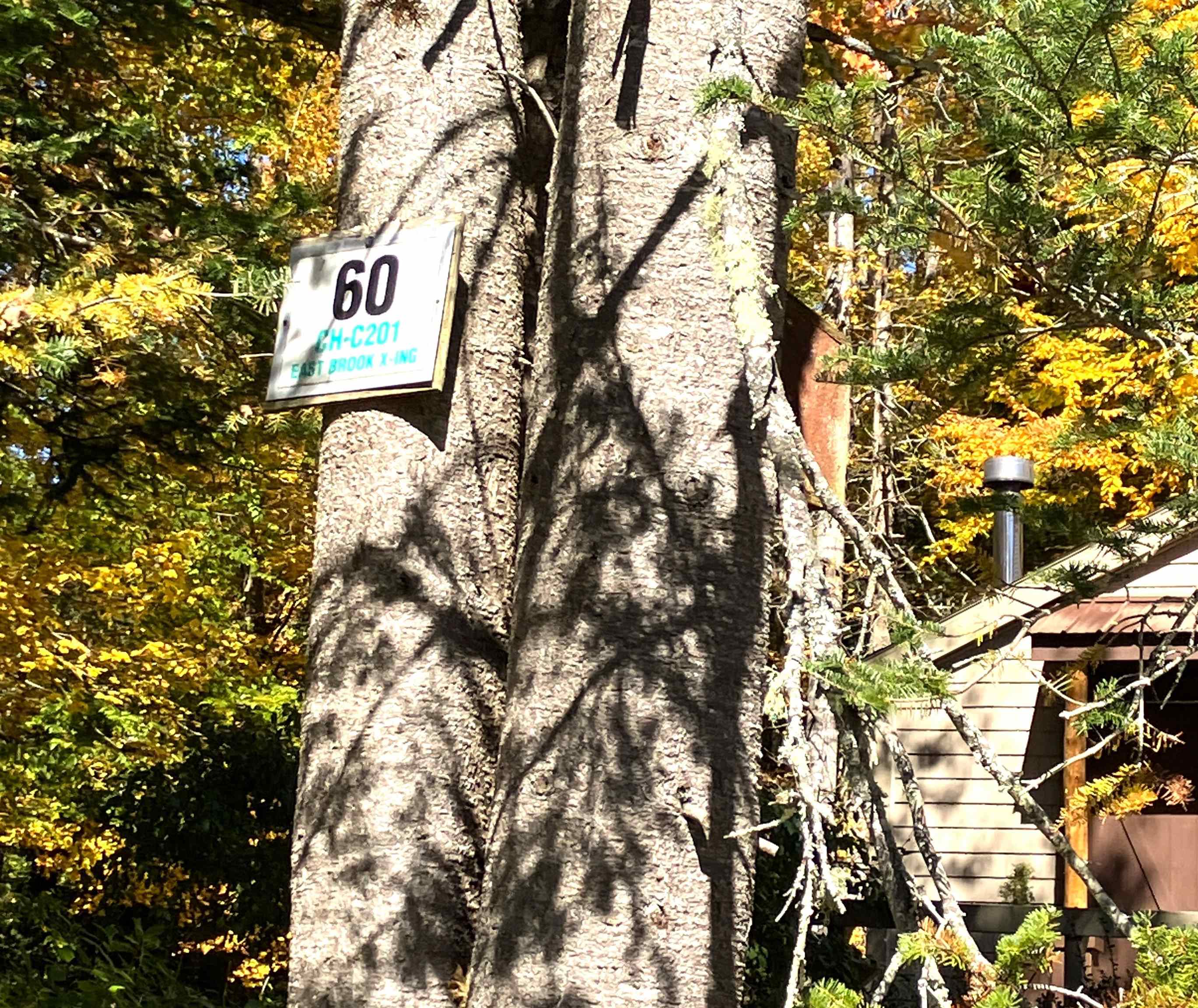 60 E Brook Crossing — photo