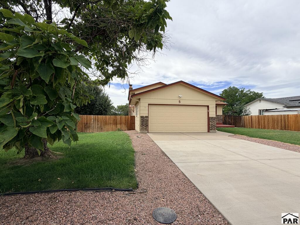 5 Bitterweed — photo