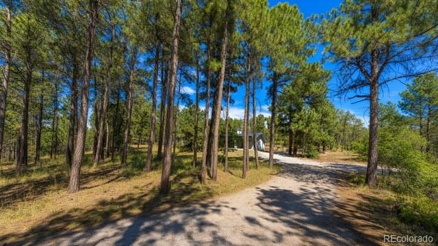 1251 Valley View Drive — photo