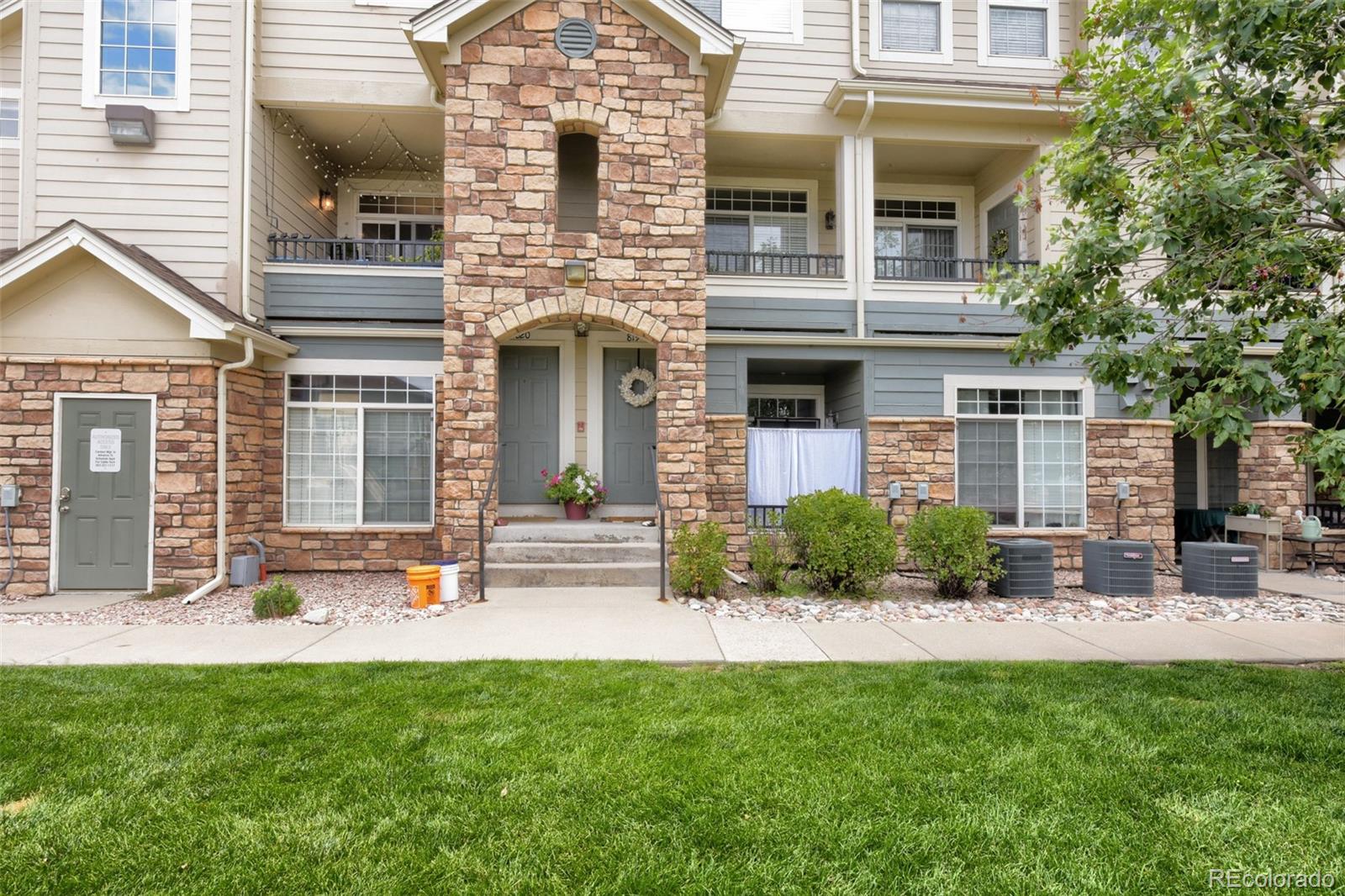 431 Black Feather Loop 820 — photo