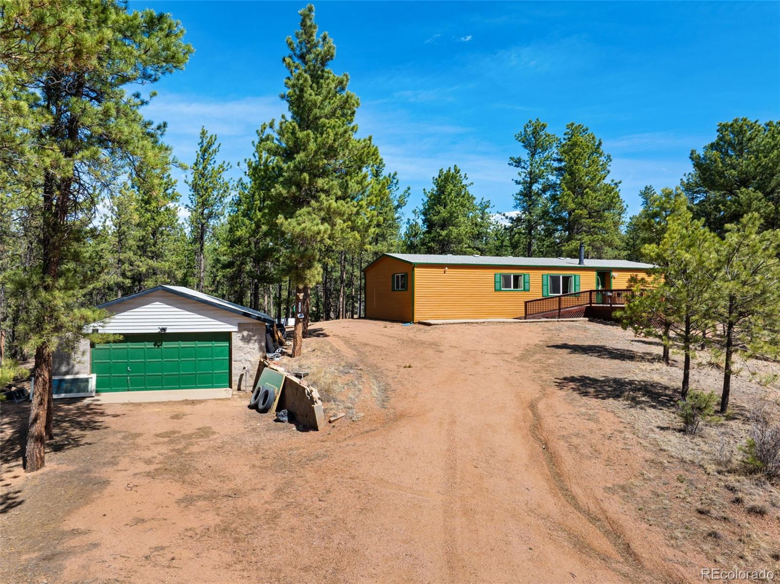 1299 Pikes Peak Drive — photo