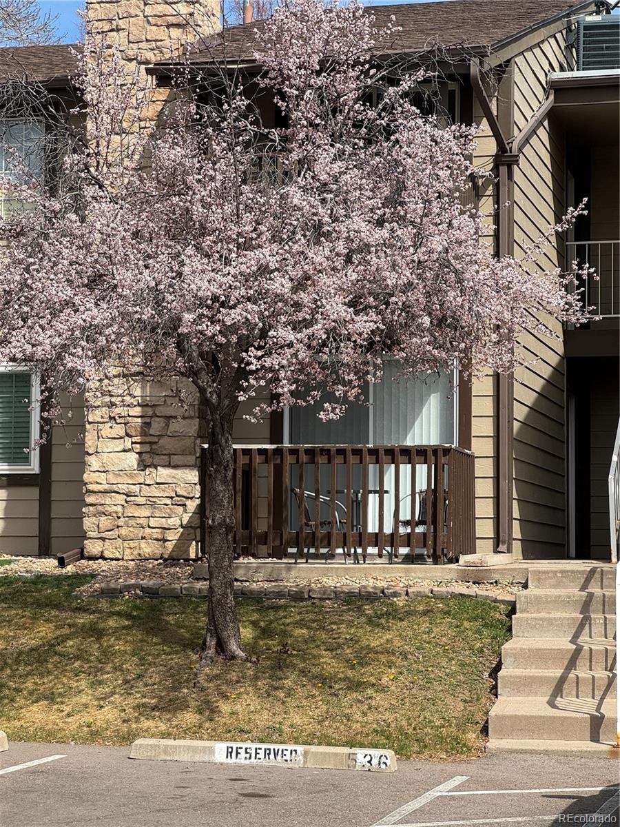1850 S Pitkin Circle B — photo