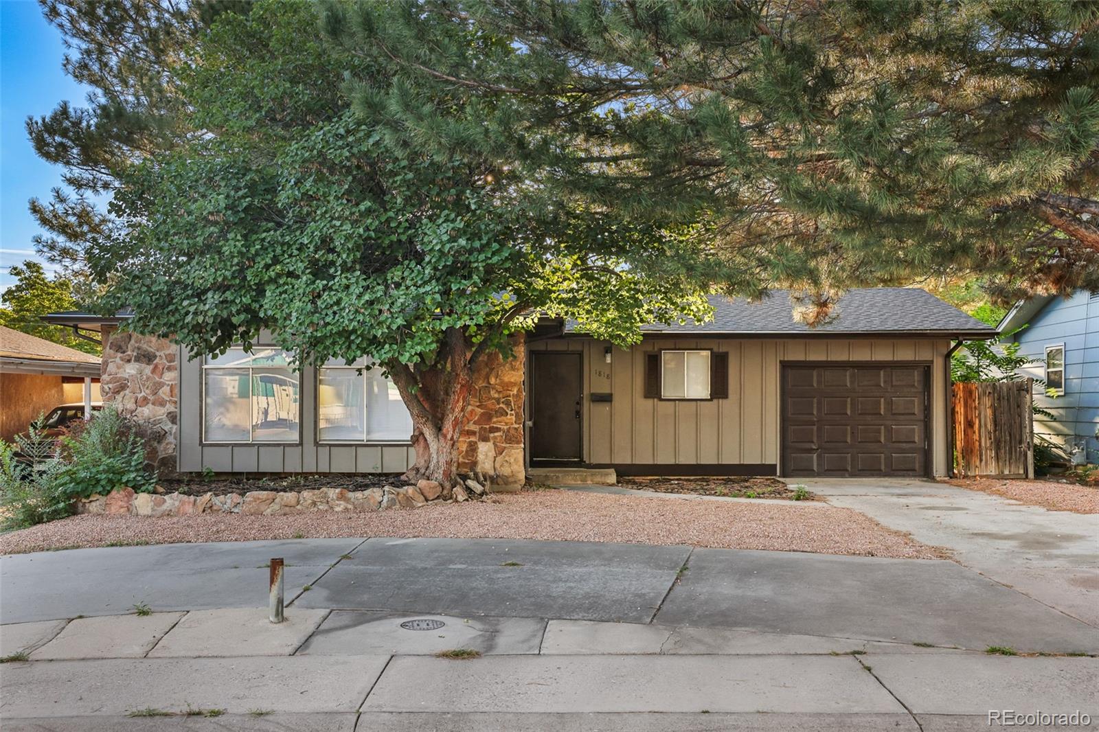 1818 Maplewood Drive — photo