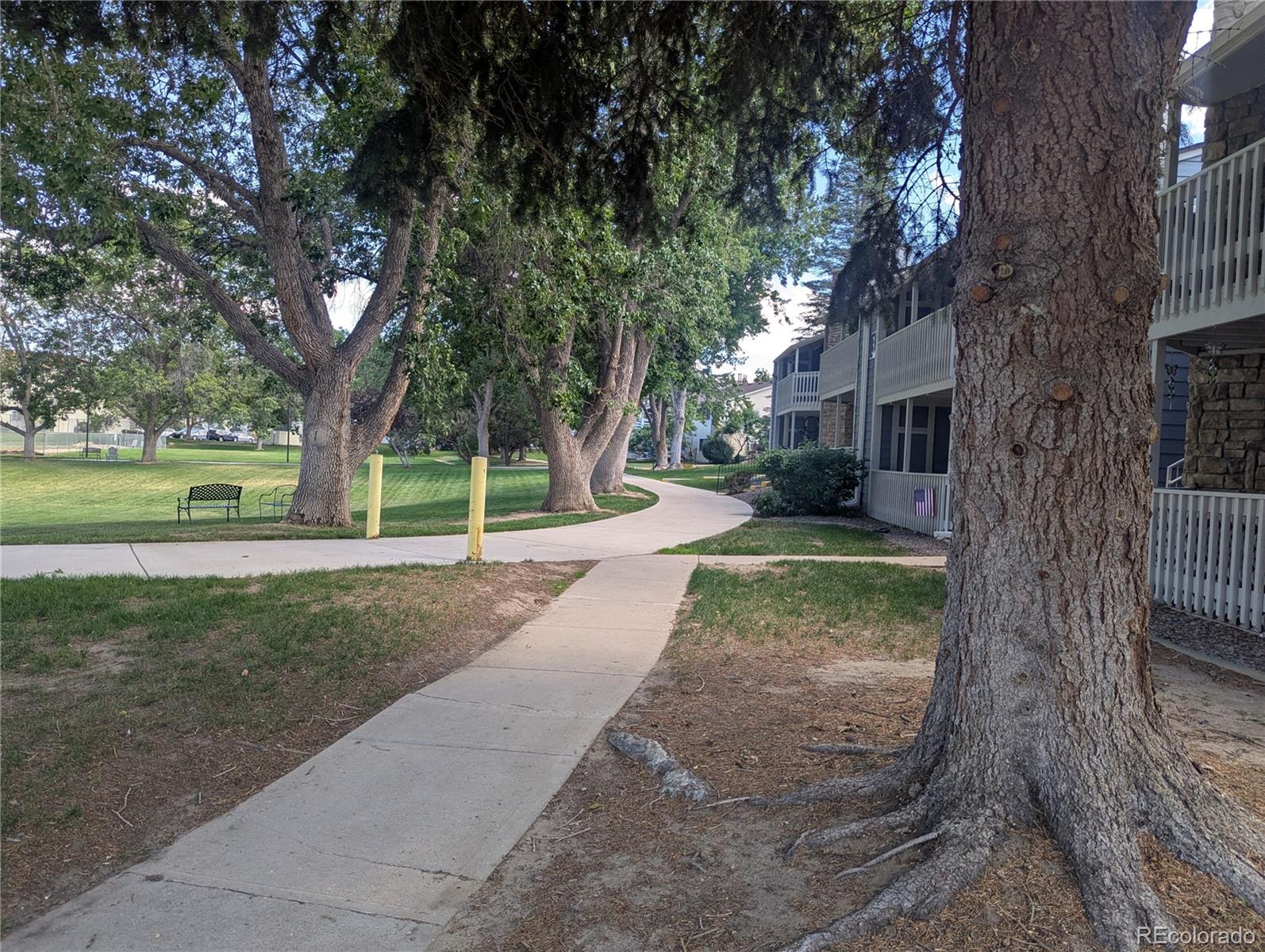 8335 Fairmount Drive 3-203 — photo