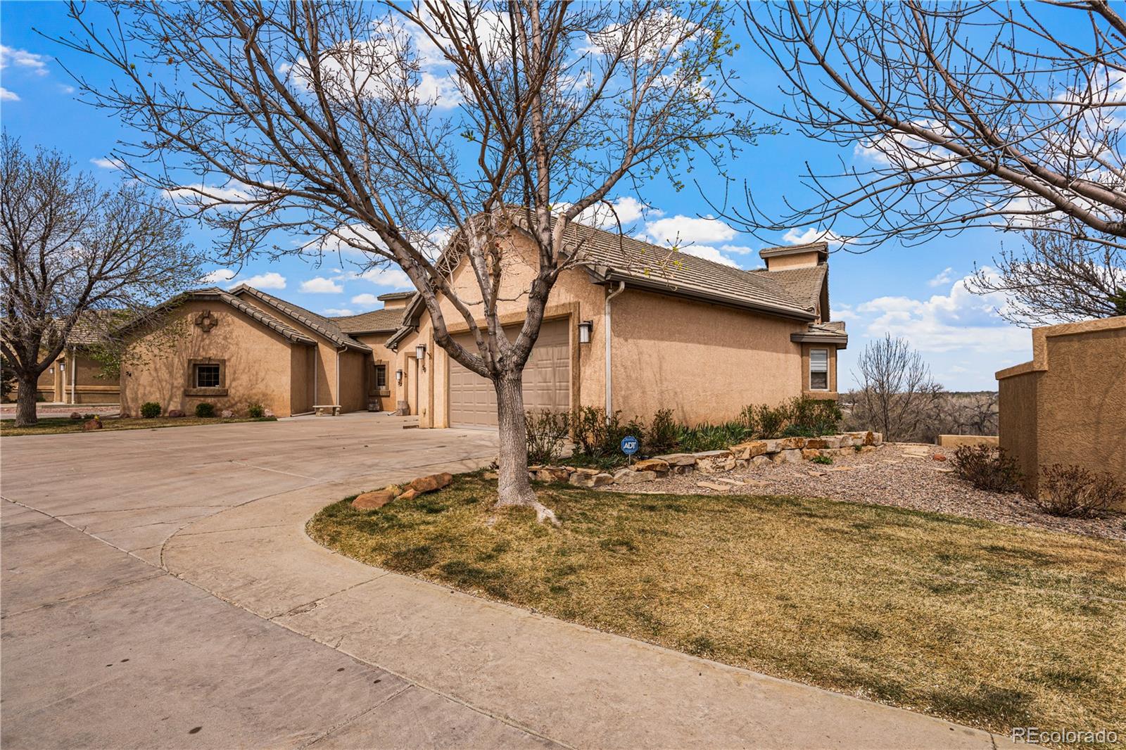 50 Aberdeen Bluff — photo